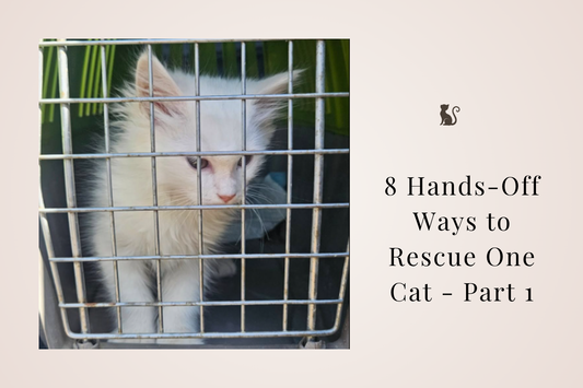 🤎 8 Hands-Off Ways to Rescue One Cat - Part 1